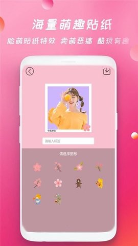批图相机(1)