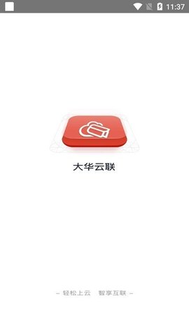 大华云联(3)