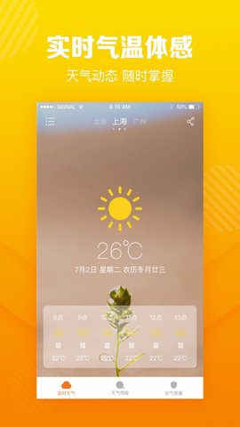 菠萝天气(1)