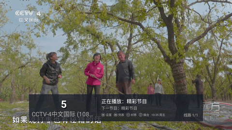 乌龟TV(3)