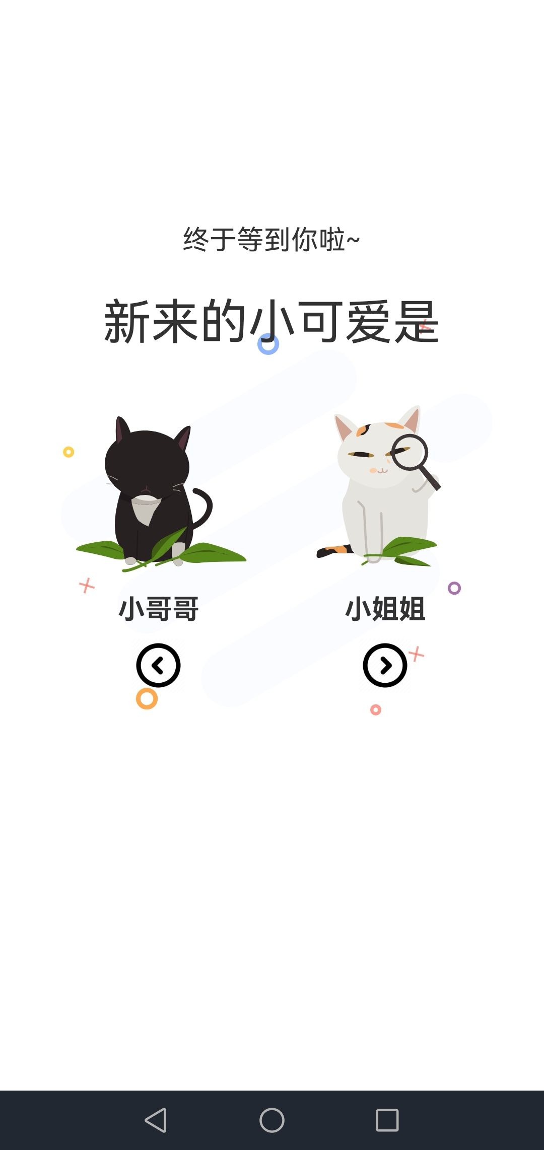 猫上二次元(2)