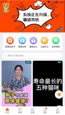 世纪天宠(2)