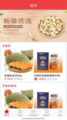 云豹丝路(3)