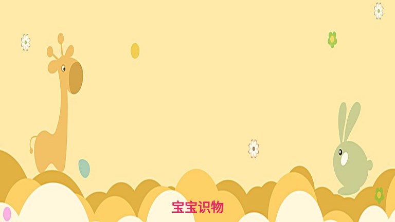 宝宝识物(3)