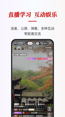 红松(3)
