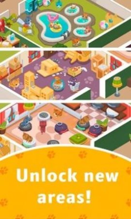 猫咪主题公园(2)