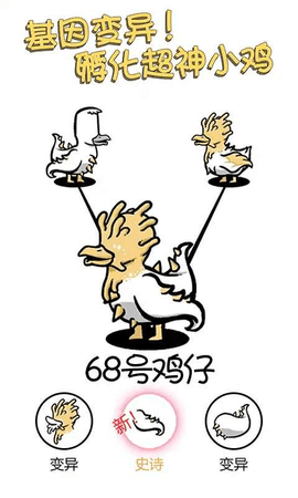 小鸡真奇怪(2)