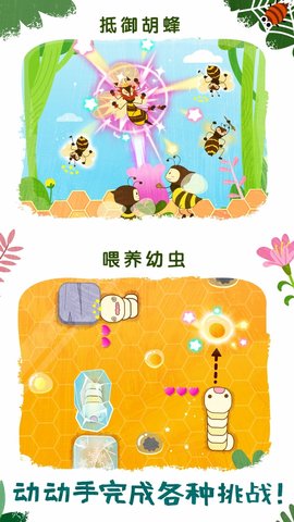 奇妙昆虫世界(2)