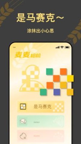 麦麦相机(2)