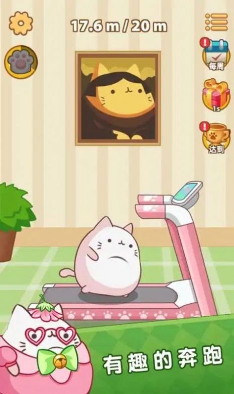 肥猫快跑(1)