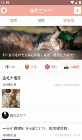 博猫管家(2)