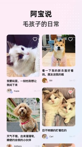 阿宝说(1)