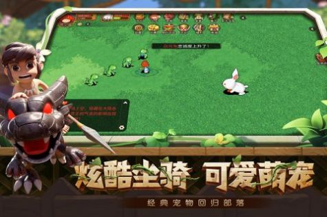 究极宝贝重回石器(2)