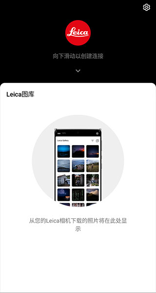 leicaq(2)