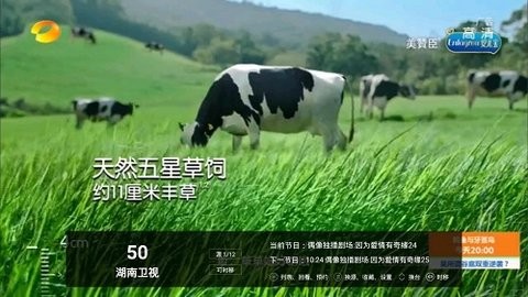 锋彩直播(2)