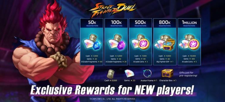 Street Fighter Duel(3)