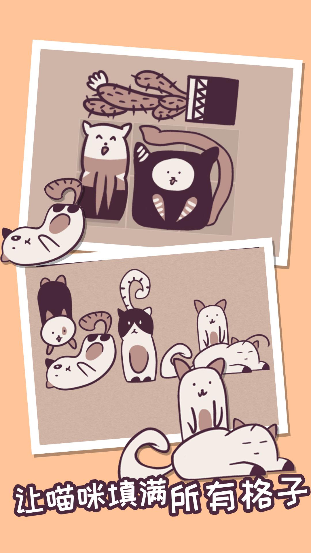 我的小猫贼好看(3)