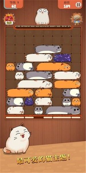 猫类拼图(1)