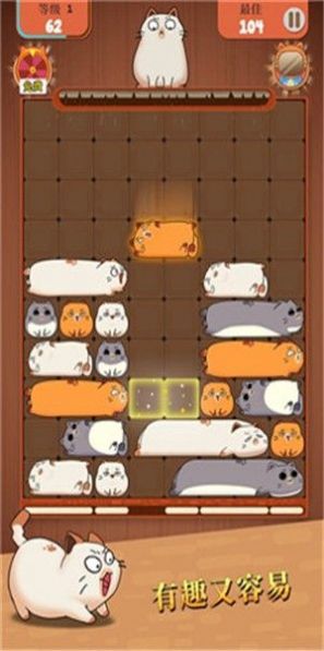 猫类拼图(1)