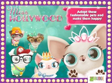 Miss Hollywood时尚宠物(1)