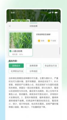 耘苗拍(2)
