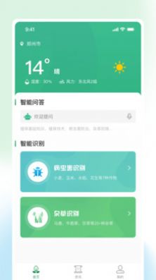 耘苗拍(3)