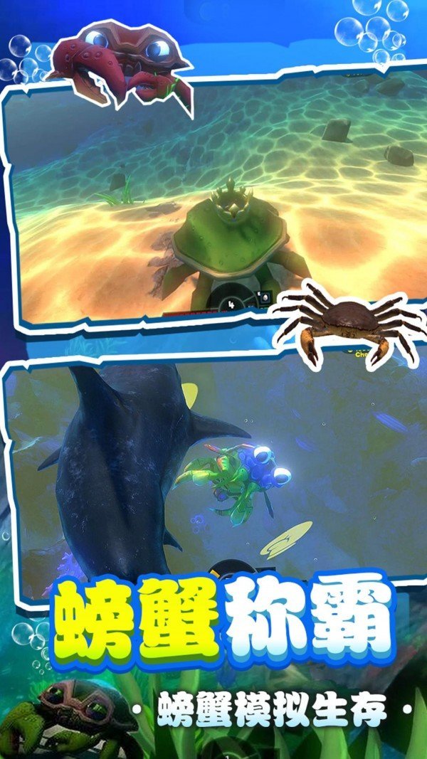 海底寻宝记(1)