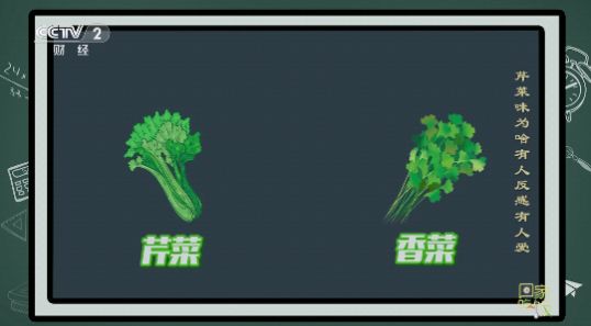 夜猫子电视(2)