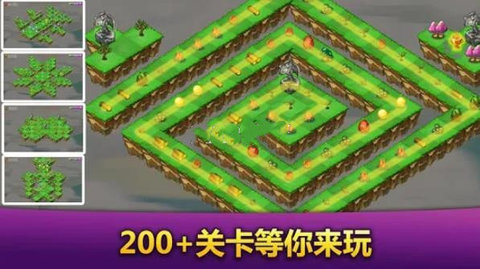 美丽的巨龙家园(3)