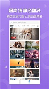 天天壁纸(1)