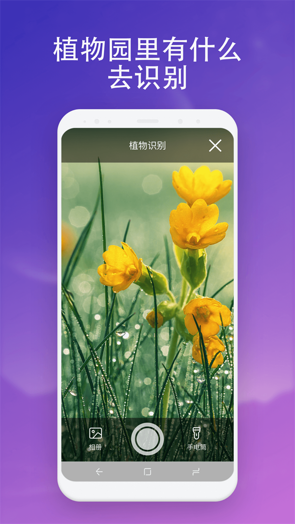 无垠扫描(1)