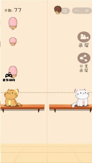 猫猫学园(3)