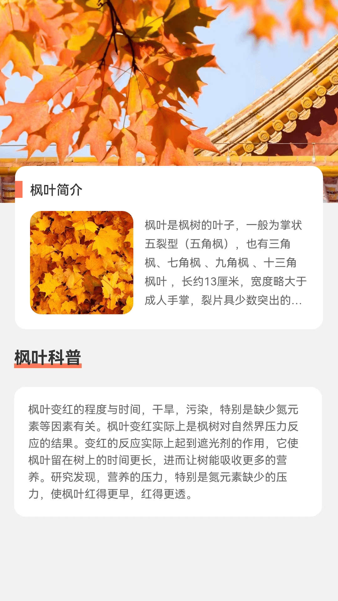 枫叶流量(3)