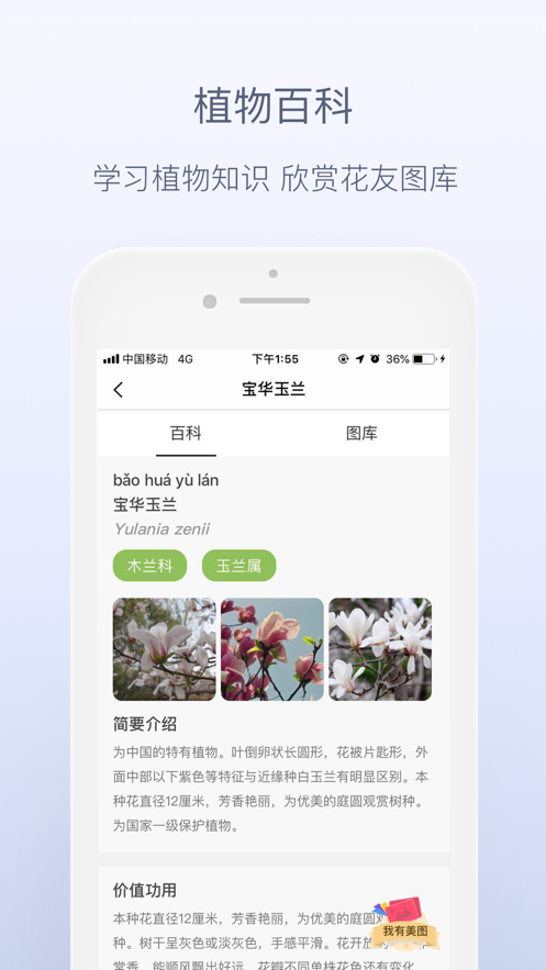 花伴侣(1)