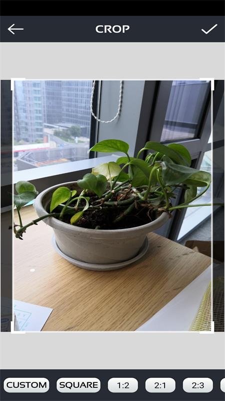 激发你的灵感(2)