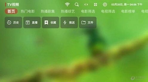 TV视频(1)