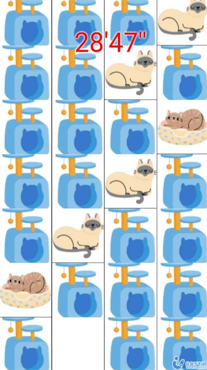 打猫猫(2)