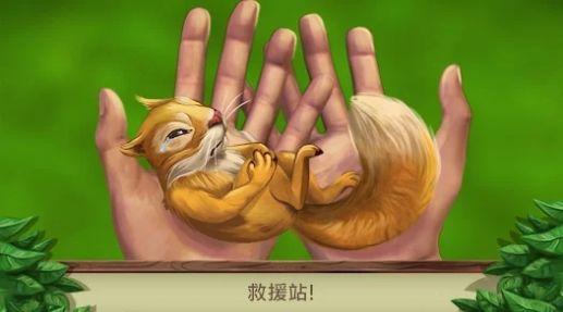 Pet World(1)