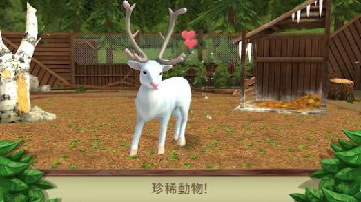 Pet World(3)