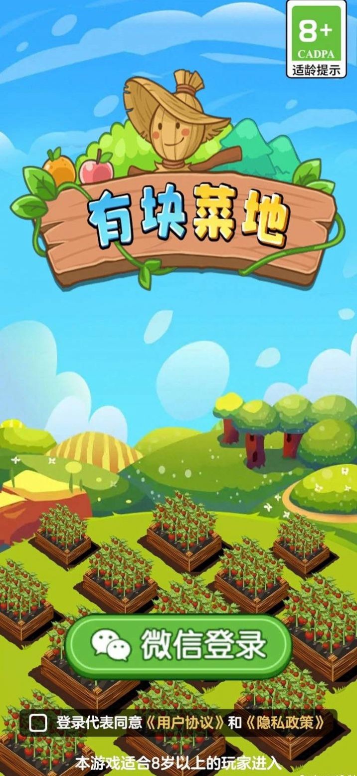 有块菜地(1)