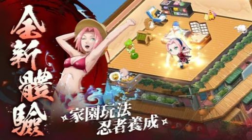 忍者传说新世代(1)