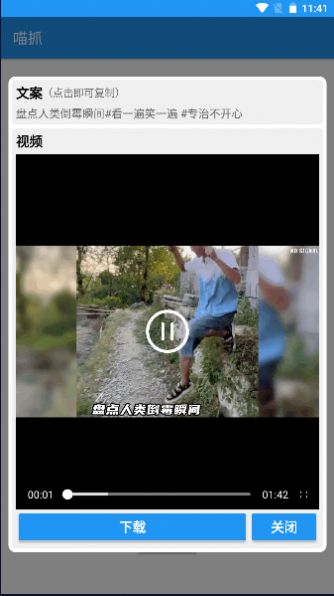 喵抓(1)