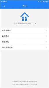 布顿金服(2)