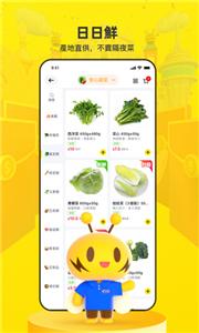 闪蜂(2)