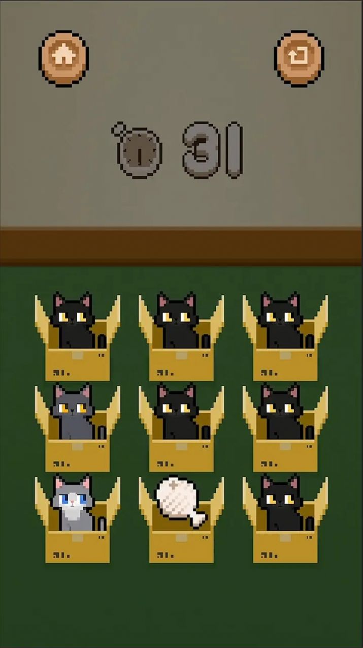 数猫猫(2)