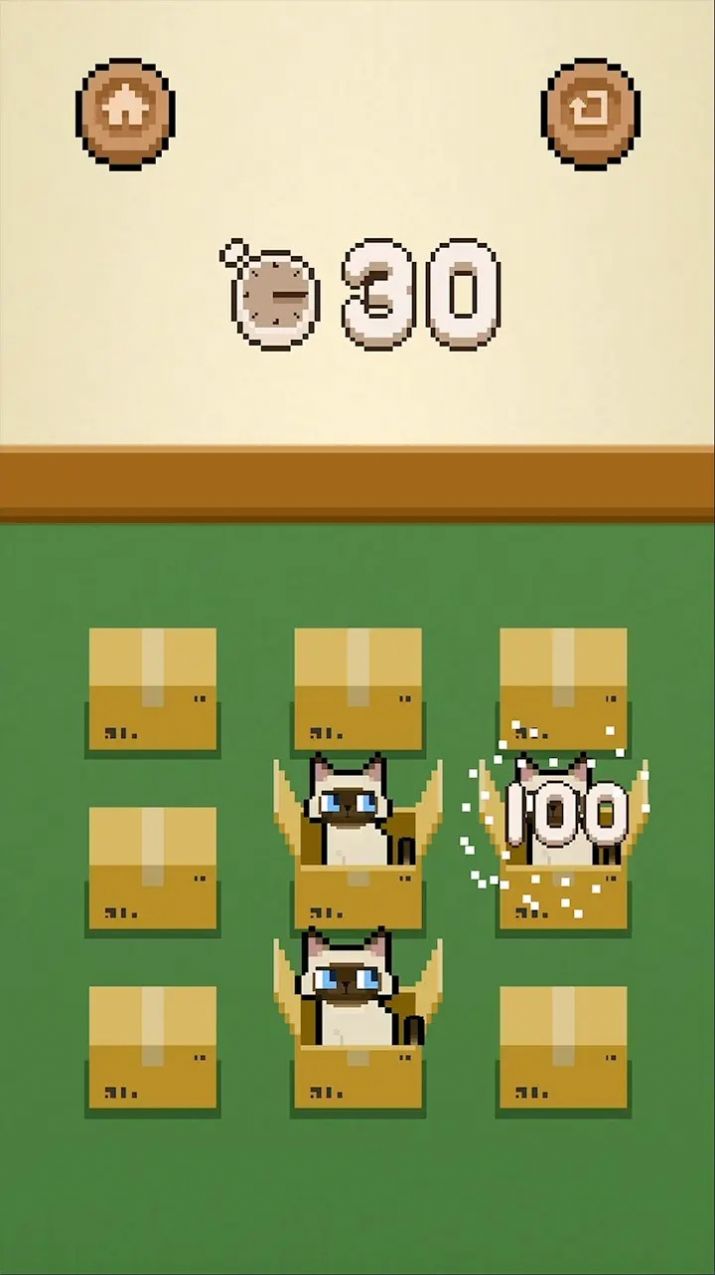 数猫猫(3)