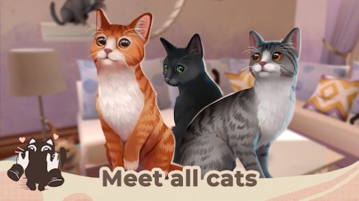 猫救援故事(3)