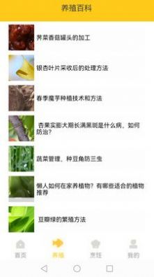 小院人家(2)