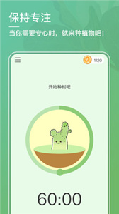 口袋植物(3)