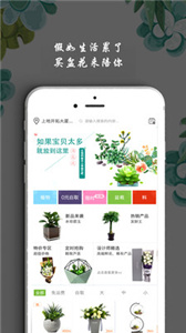 淘花运(2)